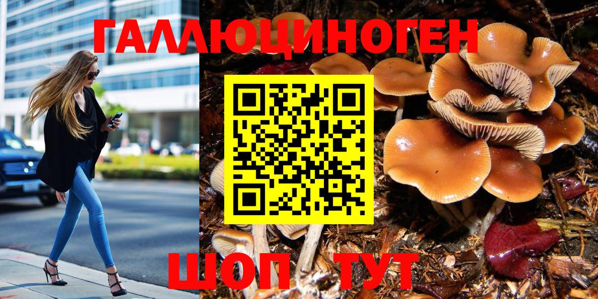 Галлюциногенные грибы Psilocybine cubensis Чебоксары